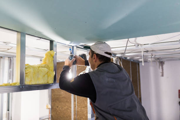 Best Geographic-Specific Insulation Services in Hillsboro, TX