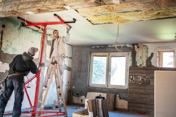 Best Insulation Maintenance and Repair in Hillsboro, TX