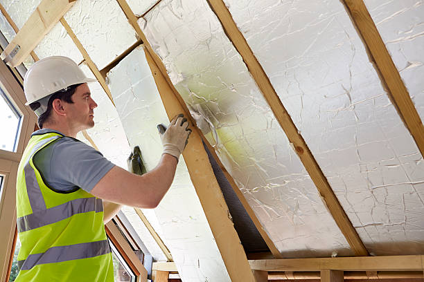 Best Cellulose Insulation in Hillsboro, TX
