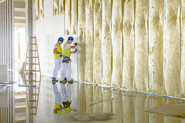 Best Spray Foam Insulation in Hillsboro, TX